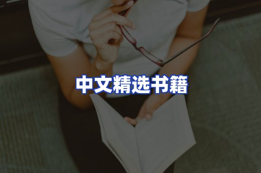 中文精选书籍